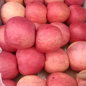 当季现摘红富士苹果 市场可以批发的冰糖心水果 都是大果