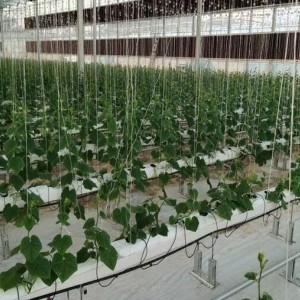 椰糠条蔬菜种植槽厂家直供 荷兰模式美观耐用 提供安装类信息