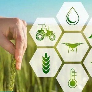 智飞极农 高标准农田建设 土壤墒情分析 支持后台数据 支持个性化定制