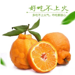 春见耙耙柑十斤一箱新鲜水果粑粑葩葩柑当季不知火丑橘丑八怪桔子 特大果【80-85mm】耙耙柑 5斤装【净重4.5斤】