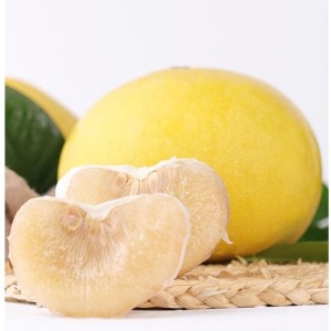 闽农语果浙江玉环文旦柚【纯甜无酸】老树柚子当季新鲜水果礼盒台州文旦柚 【1枚尝鲜装丨3斤左右】